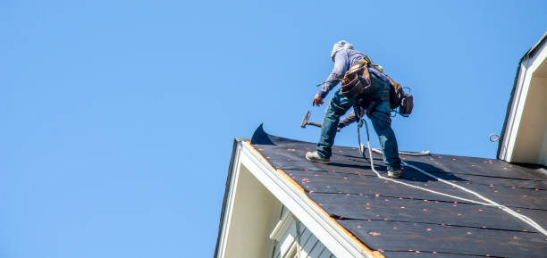 Best Residential Roofing Contractor  in Moapa Valley, NV